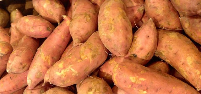 sweet potato good for weight loss