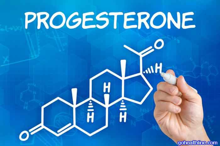 What Does Progesterone Do?