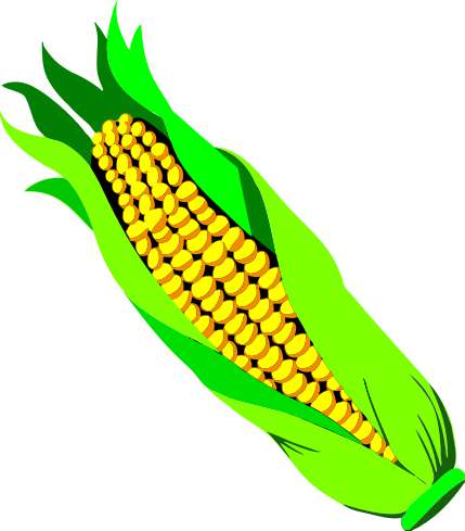 How many calories in an ear of corn