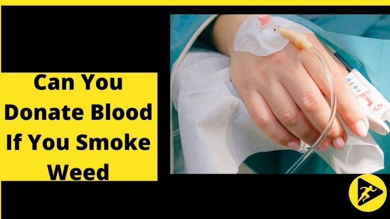 Can You Donate Blood If You Smoke Weed