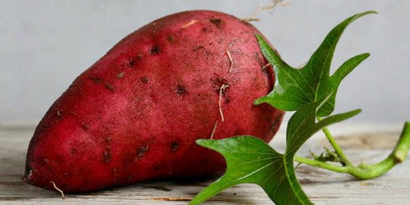 Is Sweet Potato Good for Weight Loss