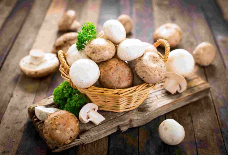 Can Mushrooms Help You Lose Weight?