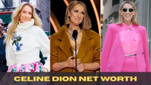 Celine Dion Net Worth 2025